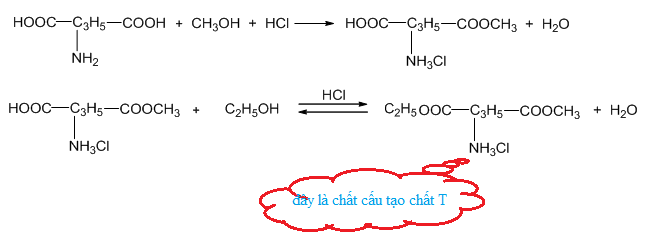 Axit Glutamic + CH3OH/HCl: Phương Pháp Tạo Este và Ứng Dụng Quan Trọng